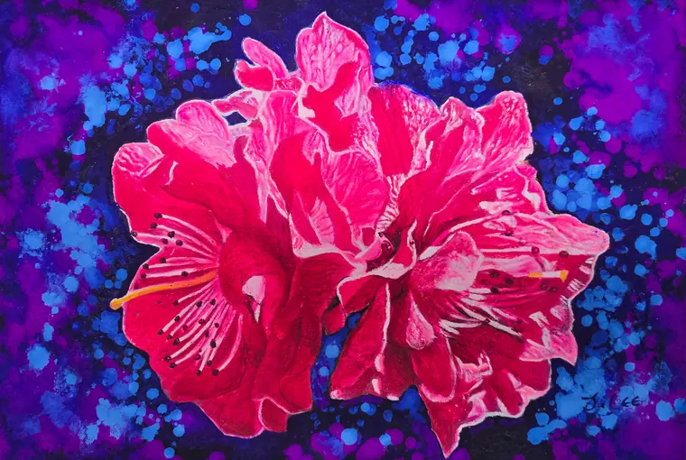 Azalea