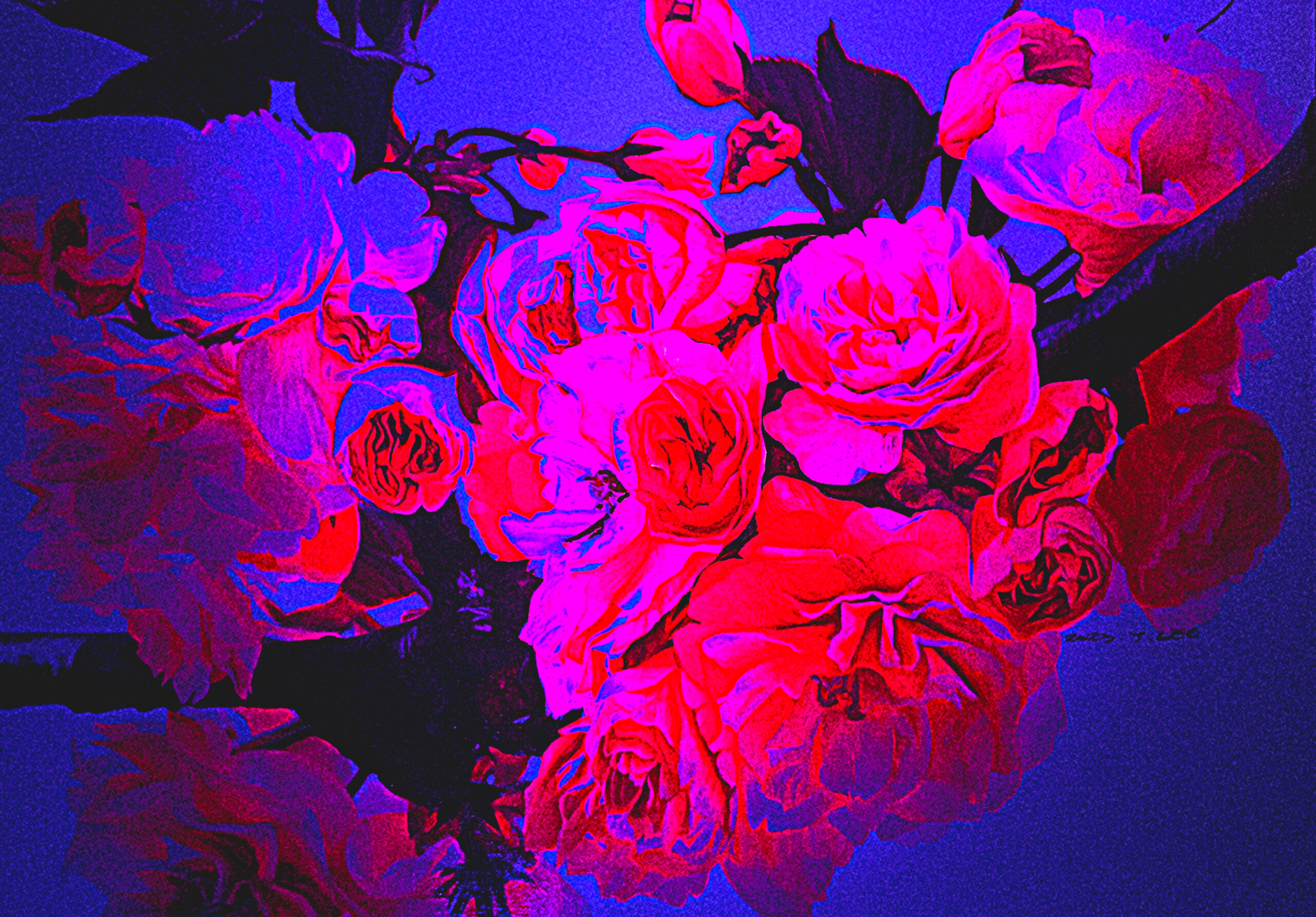 Dazzlingly Beautiful Ⅰ under UV light
