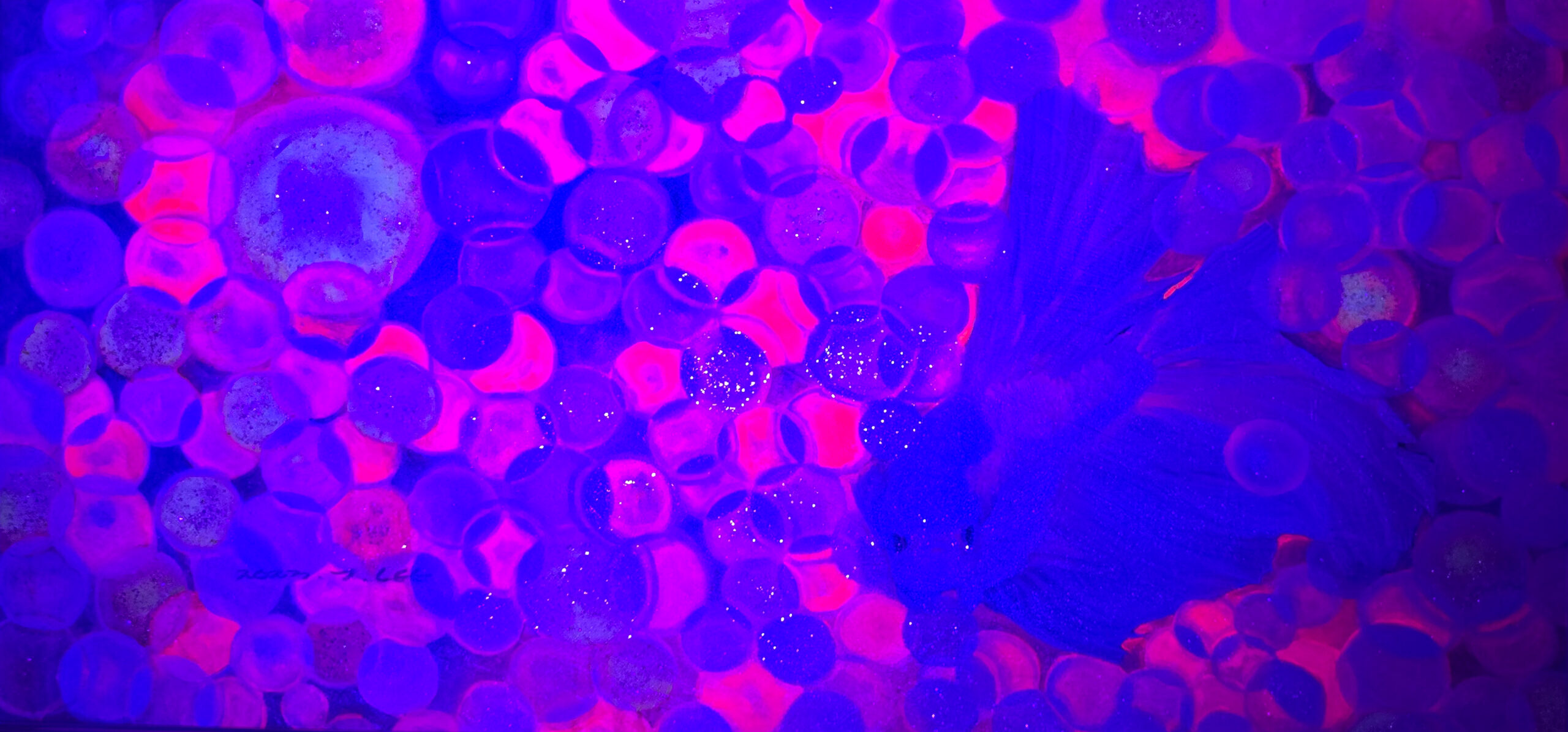 I see you II under UV light