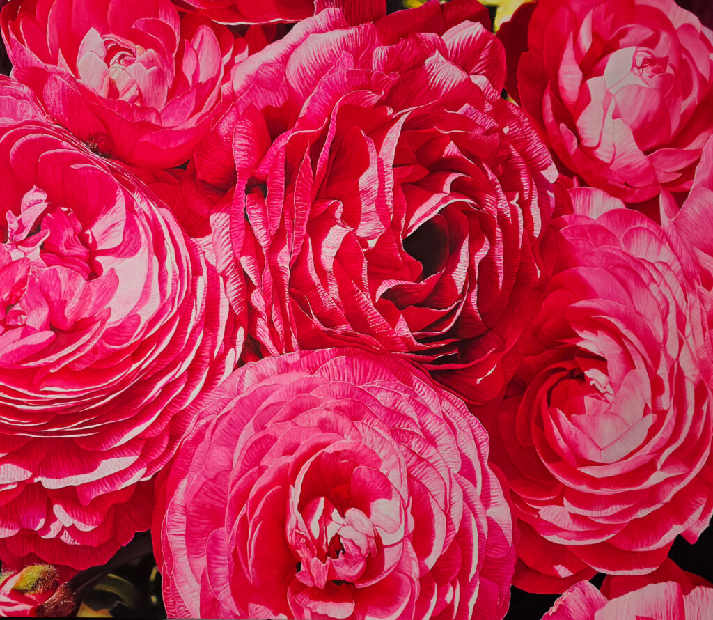 Ranunculus II by Jennifer Lee, a close-up painting of vivid red and pink ranunculus flowers exploring beauty, memory, transience, and the desire to preserve a fading moment.