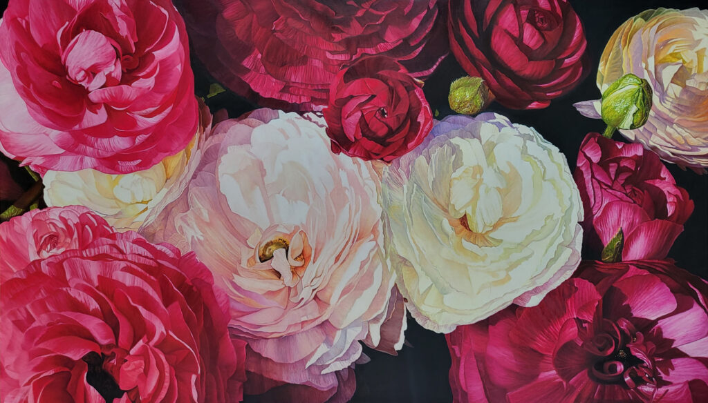 Ranunculus by Jennifer Lee, depicting luminous pink, red, and ivory ranunculus flowers emerging against a deep dark background.
