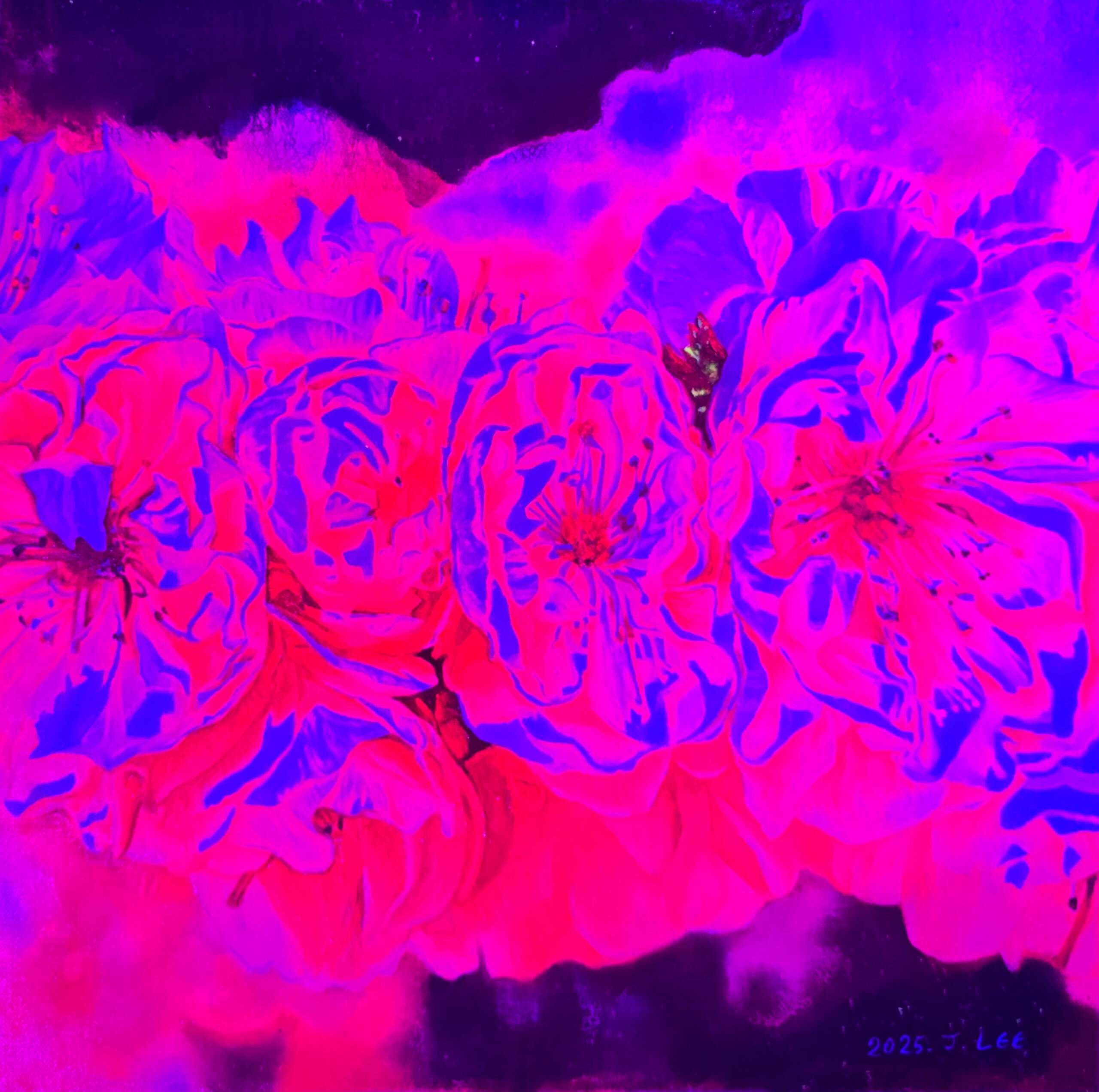 Revolution of Petals under UV light