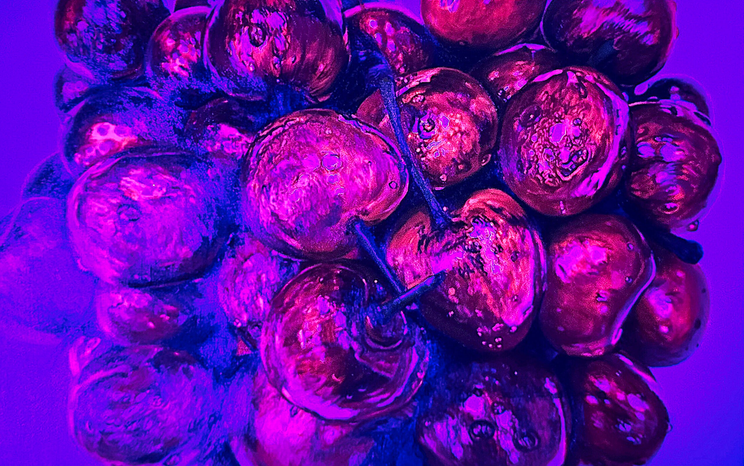 Sweaty Cherries under UV light